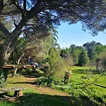 Villa Pine - Direct Train To Porto