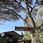 Pine - Direct Train To Porto