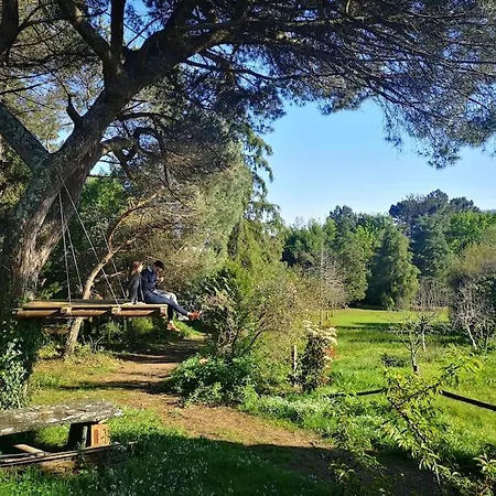 Villa Pine - Direct Train To Porto