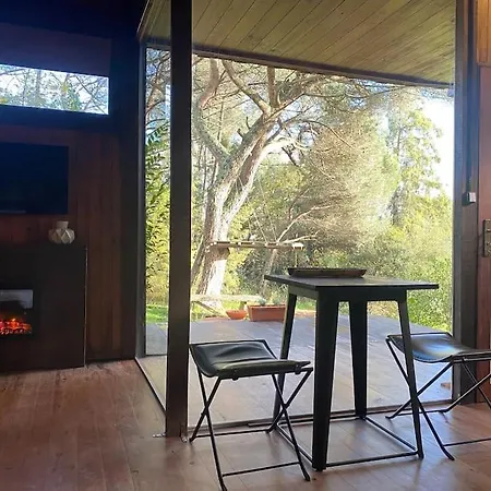 Pine - Direct Train To Porto Villa Valongo (Porto)