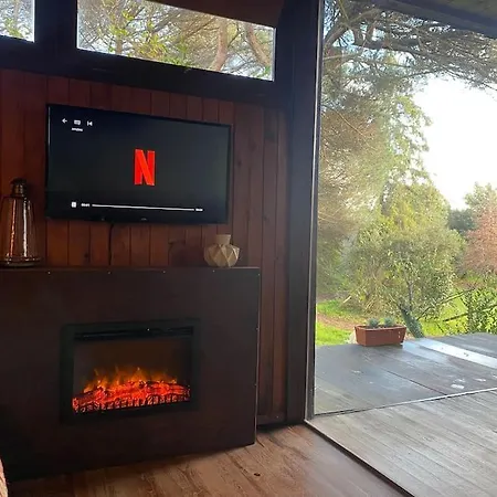 Pine - Direct Train To Porto