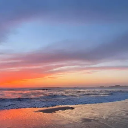 Pine - Direct Train To Porto *