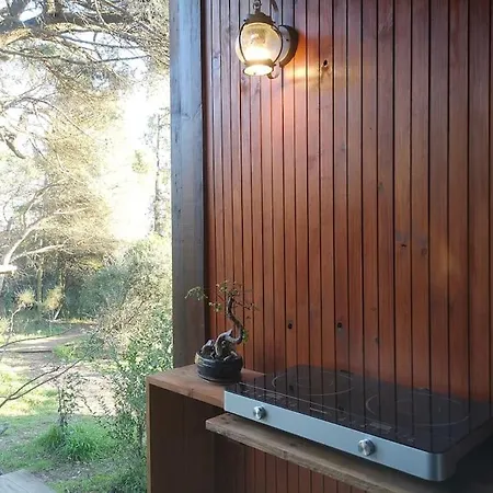 Pine - Direct Train To Porto Villa *