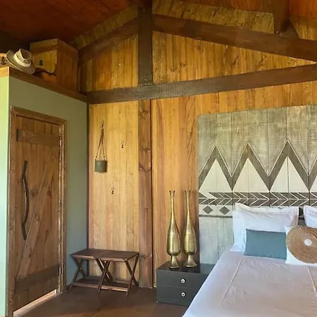 Pine - Direct Train To Porto