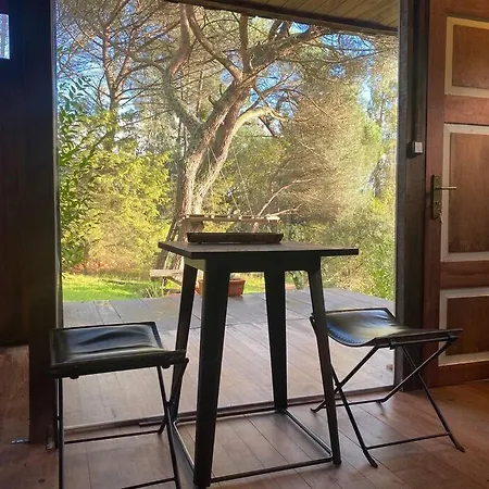 Pine - Direct Train To Porto Валонгу