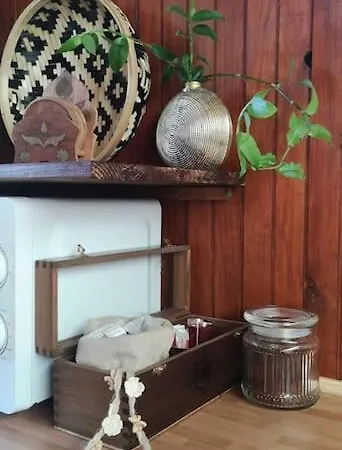 Pine - Direct Train To Porto