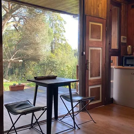 Pine - Direct Train To Porto Вилла Валонгу