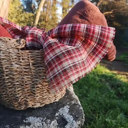 Villa Pine - Direct Train To Porto Valongo (Porto)