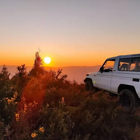 Pine - Direct Train To Porto *