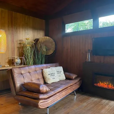 Pine - Direct Train To Porto *