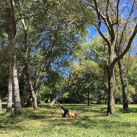 Pine - Direct Train To Porto