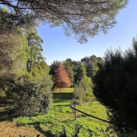 Villa Pine - Direct Train To Porto *