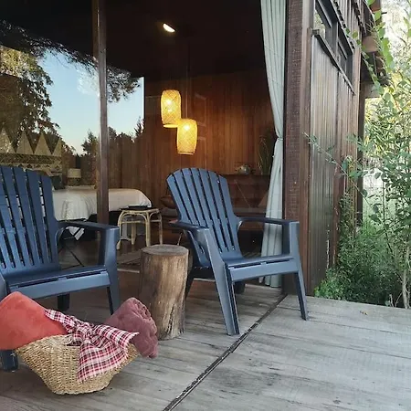 Pine - Direct Train To Porto * فالونغو