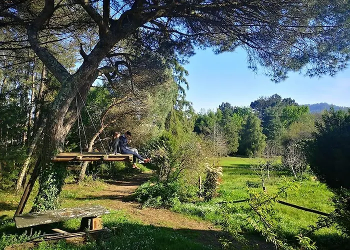 Villa Pine - Direct Train To Porto