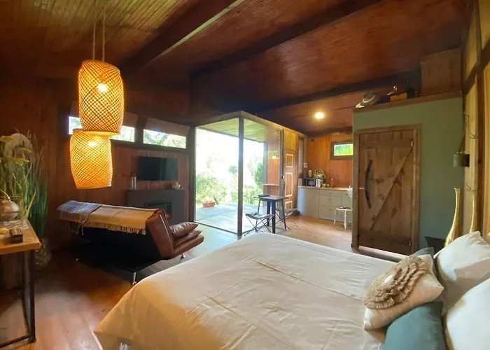 Pine - Direct Train To Porto Villa Valongo (Porto)