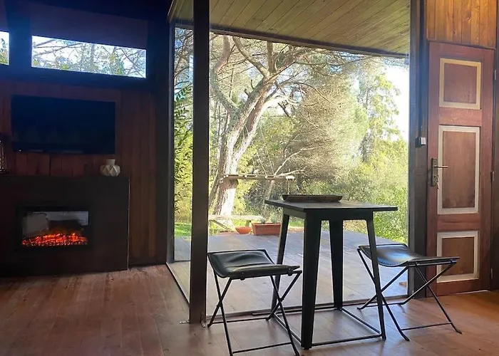 Pine - Direct Train To Porto فيلة فالونغو