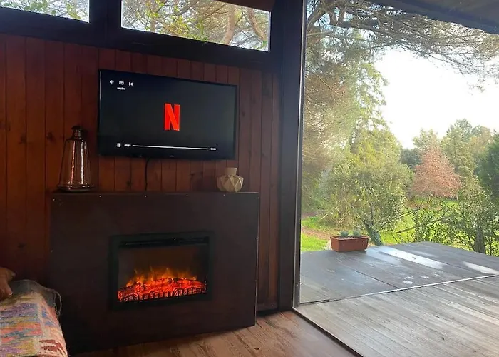 Pine - Direct Train To Porto