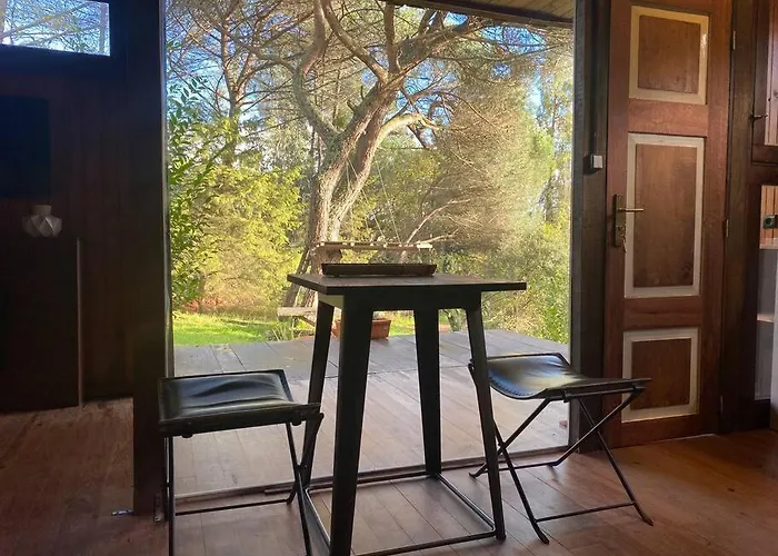 Pine - Direct Train To Porto Valongo (Porto)