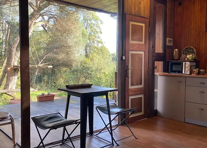 Pine - Direct Train To Porto Villa Valongo (Porto)