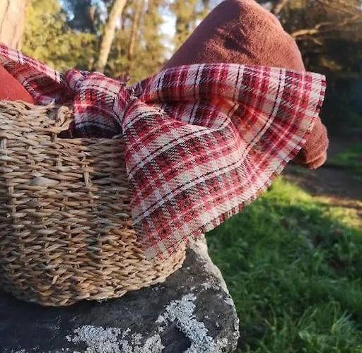 Villa Pine - Direct Train To Porto Valongo (Porto)