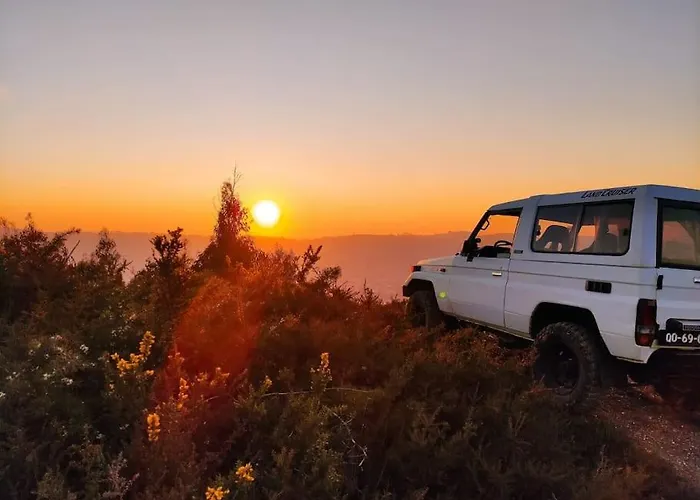 Pine - Direct Train To Porto *