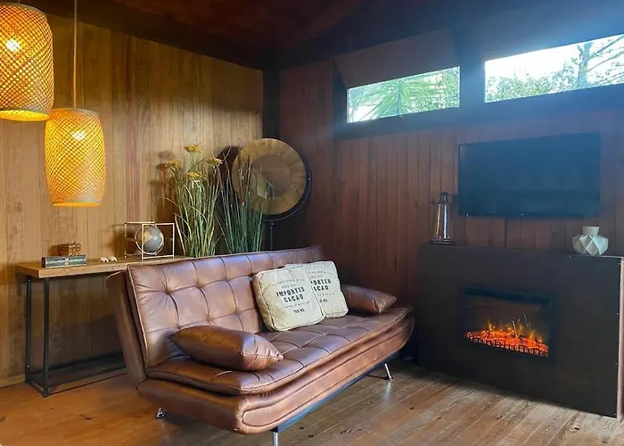 Pine - Direct Train To Porto *