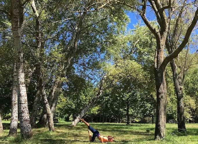 Pine - Direct Train To Porto