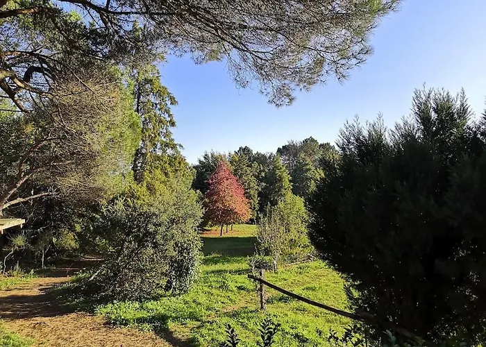 فيلة Pine - Direct Train To Porto *