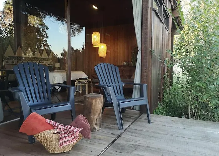 Pine - Direct Train To Porto * Valongo (Porto)