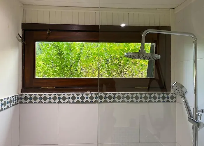 Pine - Direct Train To Porto Villa