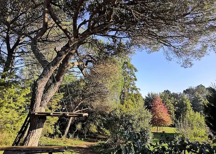 Pine - Direct Train To Porto *